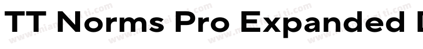 TT Norms Pro Expanded DemiBold Ital字体转换